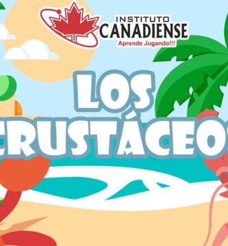 Secretos y Maravillas de los Crustáceos: Guía Completa para Amantes de la Biología Marina