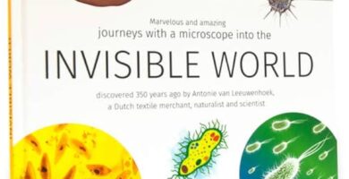 Descubriendo el Mundo Invisible: Guía Definitiva para Utilizar un Microscopio 6 Descubriendo el Mundo Invisible: Guía Definitiva para Utilizar un Microscopio
