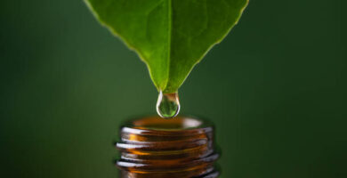 Usos comunes de la homeopatía en la salud 4 Usos comunes de la homeopatía en la salud