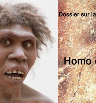 Todo lo Que Necesitas Saber sobre el Homo Ergaster: Profundizando en Nuestros Ancestros Prehistóricos